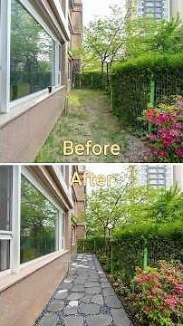 Making an Easy-to-Maintain Garden