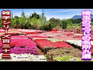 [Trivia] [Famous Azalea Spots in Saitama] Trivia Series 132 "9 ​​Famous Azalea Spots in Saitama"