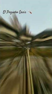 ¿Cómo CONSTRUIR una PÉRGOLA, canopy de MADERA? ⛩