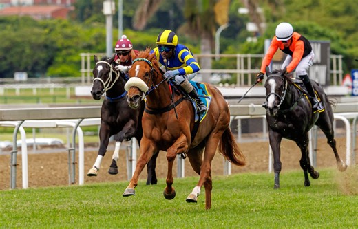 Pandaram Raider Wins Opening KZN Feature On Boxing Day
