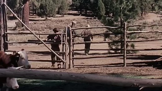 The Night of the Grizzly (1966) Clint Walker, Martha Hyer, Keenan Wynn