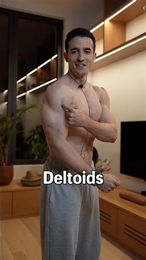 muscular anatomy 💪🏻 #Muscularanatomy