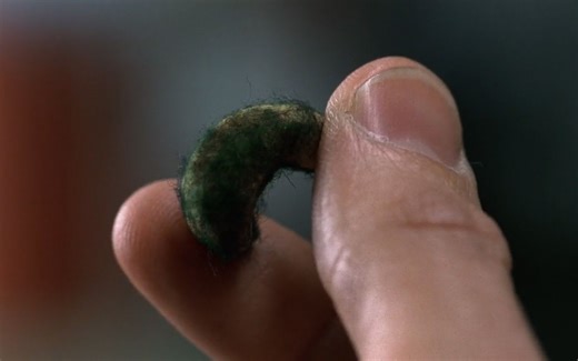 小伙染上奇怪的病毒，不管碰到什么都会长出真菌《X档案》第四季第11集