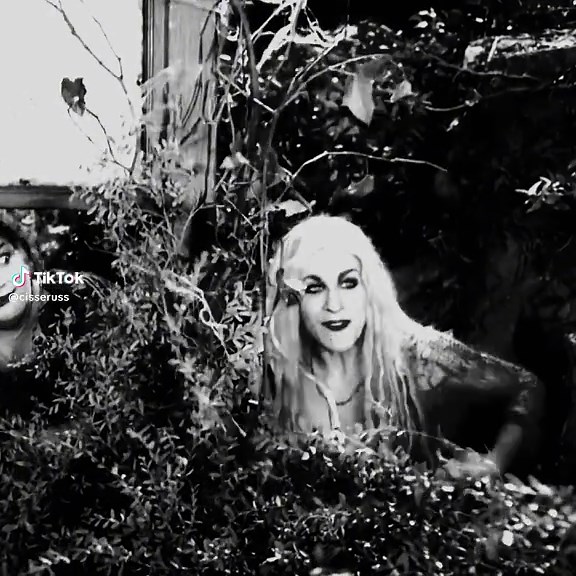 Exploring Hocus Pocus: The Sanderson Sisters' Aesthetic