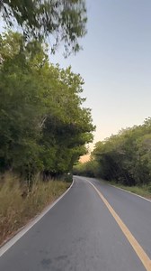 Así es la entrada a San Blas, entre un túnel de manglar verde que entre medio te deja ver el azul del cielo 😍🌴🩵🐳 | Conoce San Blas