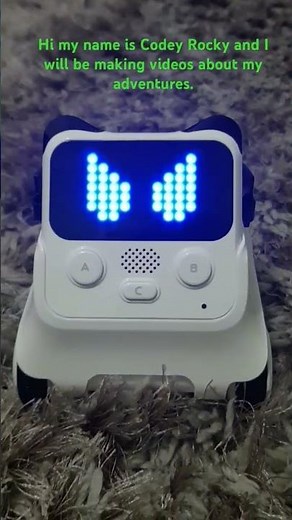 Hi i am Codey Rocky