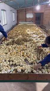 4.5M views · 9.6K reactions | Lawa Home Dizain on Reels | Facebook