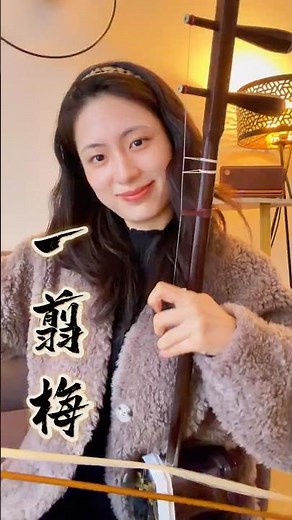 二胡Erhu｜《一剪梅》A Spray of Plum Blossoms｜Chinese Traditional Instrument Cover｜寒梅傲雪情未改｜法國第一王昭君Fangyi_WANG