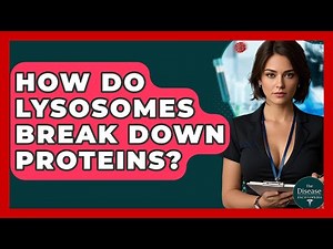 How Do Lysosomes Break Down Proteins? - The Disease Encyclopedia
