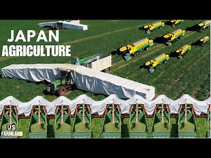 How Japanese Farmers Harvest Over 19,572 Acres of Farmland | Japan Farming Documentary
