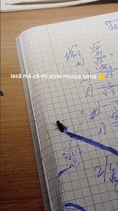 Mi-a mancat musca tema #shorts #short #funnymemes #memehub #memes #meme #memes #homework #school