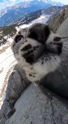 A Year Old Inches From Death...