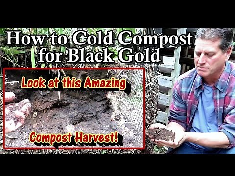 Fall Cold Composting Made Easy with An Amazing Compost Harvest: How to Harvest Garden Black Gold!
