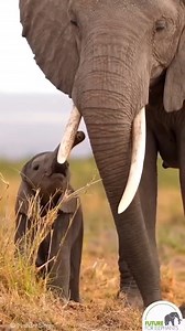 153K views · 9.1K reactions | Wonderful Nature | Beauty Of Nature | Facebook