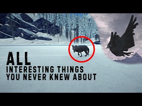 All interesting things you never knew about The Long Dark