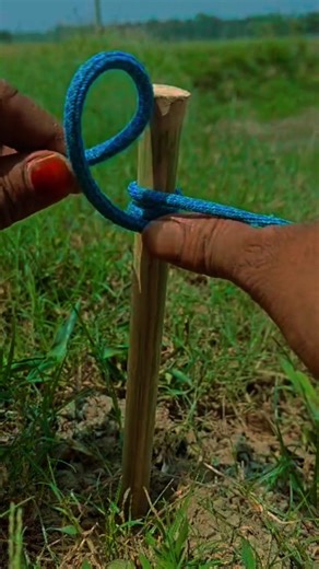 “Ultimate Rope Knot Trick on a Stick 👍 You #SurvivalSkills #CampingTips #OutdoorLife