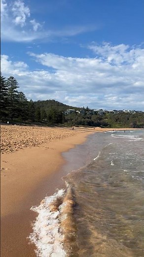 Beautiful Newport Beach in Sydney #australia #sydney #newport #beach #summer #beachvibes #waves