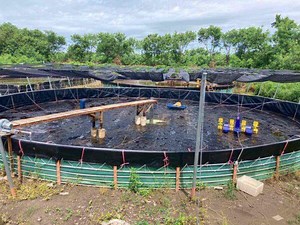 Aquaculture Fish Shrimp Prawn Pond Liner