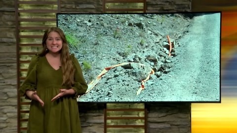 Cut lines cause people to go without internet for weeks