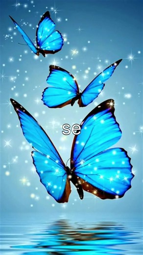 Datos interesantes sobre la mariposa azul #mariposa #animales #animals #wildlife #viralreels