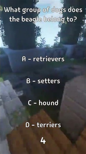 What group of dogs does the beagle belong to?