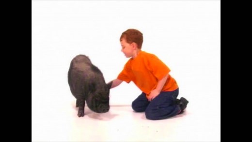 This is Daniel Cook (S. 1, Ep. 19) – Preschool