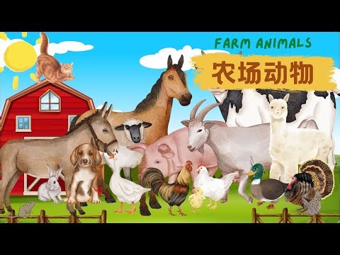 【农场动物Farm Animals】猪🐷 马🐎 牛🐮 羊 🐑 农场动物的叫声 Learn Farm Animals in Chinese