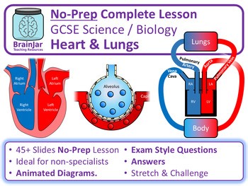 Heart and Lungs - Complete No-Prep Lesson (Powerpoint)
