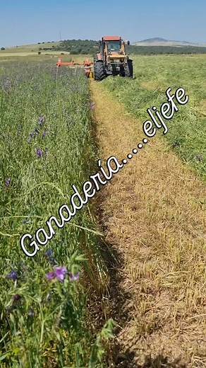 Paco Gomez Martin on Reels