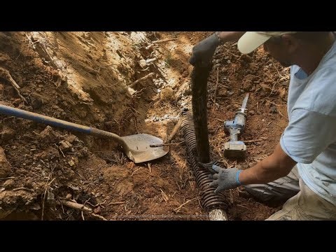 Roots clog septic pump system and destroy the pump