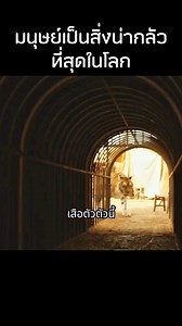 หนัง : Two Brothers (2004) | Snapnips