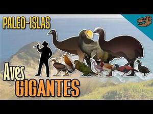 Paleo-islas: Aves GIGANTES 𓅪 𓆰