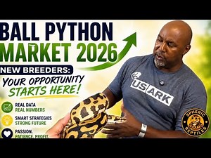 Ball Python Market 2026: Is The Reptile Industry Crashing? (Real MorphMarket Data)