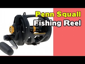 Introducing Penn Squall Lever Drag 2 Speed Trolling Fishing Reel