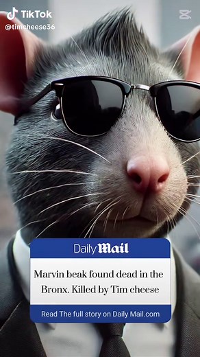 Oh no! #CapCut #fyp #fypシ゚ #funny #viral_video #timcheeseimcoming #viralvideos