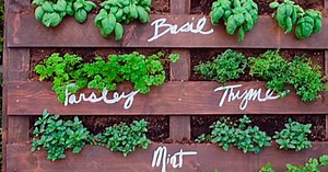 Perfect DIY Upcycled Pallet Herb Garden