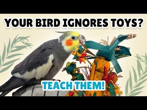 How to Get Your Bird to Play with Toys | Parrot Enrichment | BirdNerdSophie AD