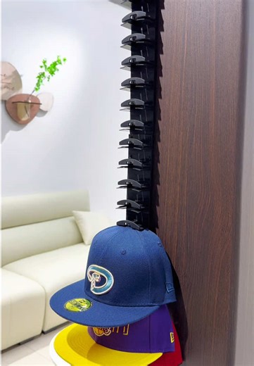 Life-Changing Hat Rack Organizer