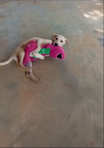 poor barney☹️ #fyp #barney #barneythedinosaur #doge #banalnaaso #meme