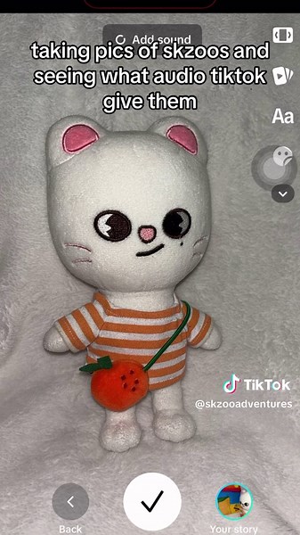 puppym’s is so real 😭😭😭 #skzooadventures #skz #fyp #pictures #audio #straykids #trend #spongebob #ateez #jungkook #foryou #molang #relatable