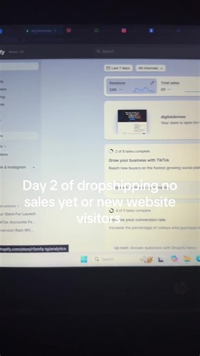 Day 2 of Dropshipping: Overcoming Initial Challenges