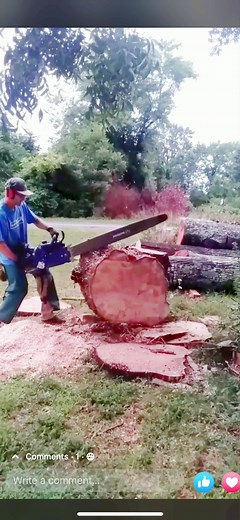 122cc Holzfforma G888, what do you think?#fyp #holzfforma #chainsaw #wood #woodworking