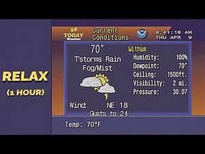 Thunderstorms, Rain, and Fog in Witham, FL — Smooth Ambient | RELAX (1 Hour)