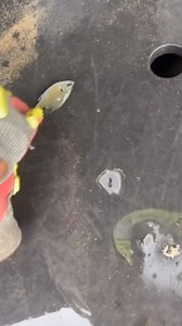 To license this content please click here: https://www.jukinmedia.com/licensing/view/1238767?utm_source=RMsocialpost&utm_medium=RMsocialpost | Jukin Copyright Management