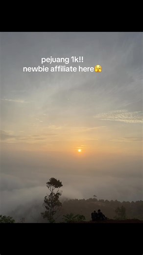 Support for Newbie Affiliates in Online Marketing