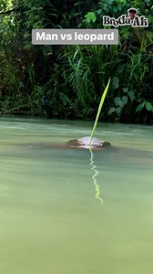 3.7M views · 28K reactions | Leopard vs man | Ekerette Andrew | Facebook