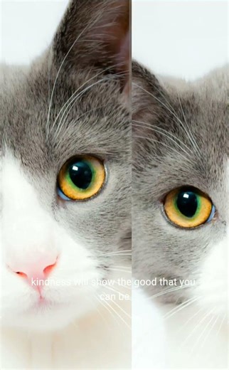 finale nitro with lyrics