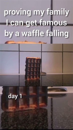waffle falling 🧇 #falling #waffle #meme