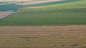 Free video - Village, Field, Landscape