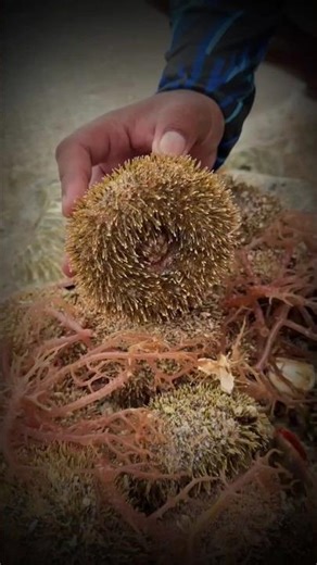 Amazing CALLIGRAPHY Artworks to Inspire You! |shorts | trend | viral | foryou